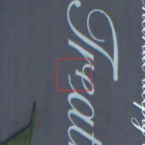 Missing print